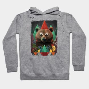 Bear of spring Hoodie